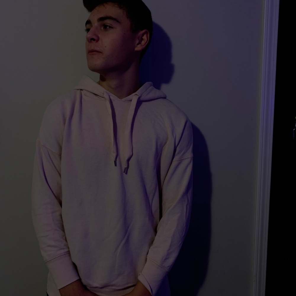 light pink aerie hoodie